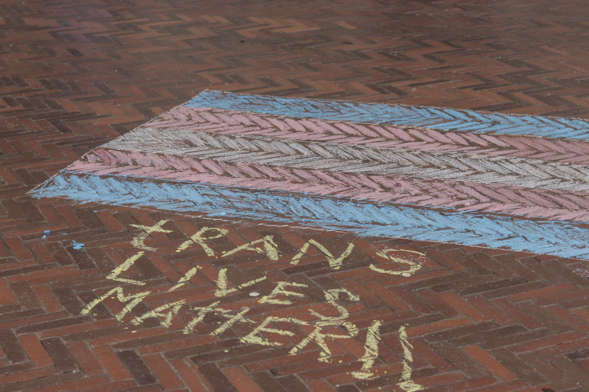 Transvlag met 'trans lives matter' eronder.